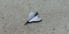 F4D "Skyray" trägergestütztes Jagdflugzeug silbergrau (1 St.) USA 1956 Wiking WM 585